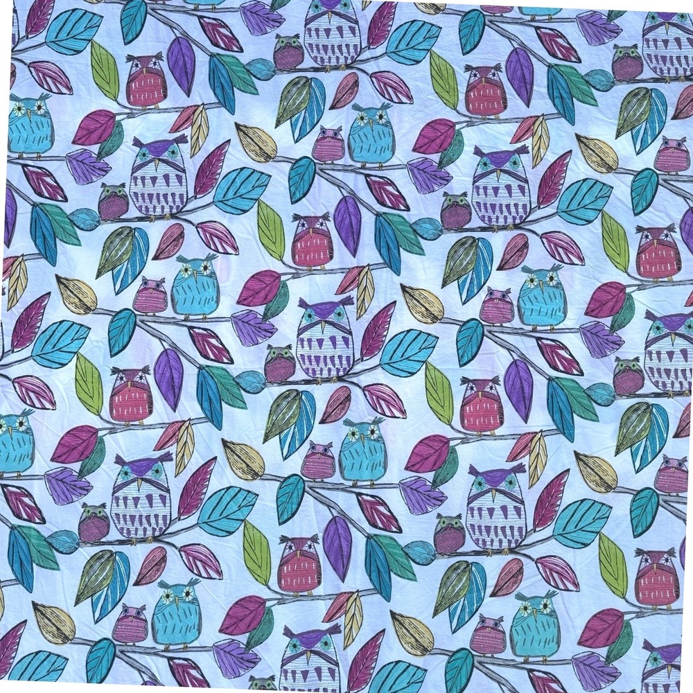 Pottery Barn Teen Whimsical Owl Duvet Set Full/Queen White Multi Organic Cotton